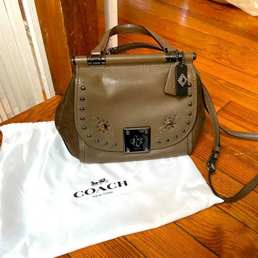 Coach bag tigers eye crystal inlay